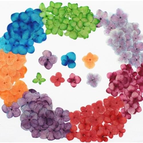 Hydrangea Dried Flower Hydrangea Embossed DIY Handmade Epoxy Dried Flower Phone Shell Aromatherapy Candle Flower Material