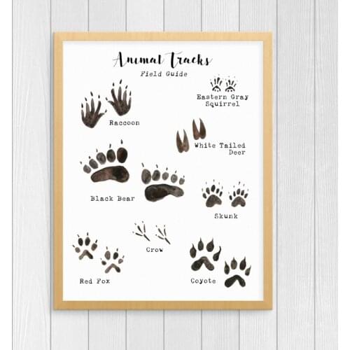 Woodland Animal Tracks Poster Canvas Art Prints , Animal Tracking Footprints Canvas Painting Wall Picture Rustic Nature Decor