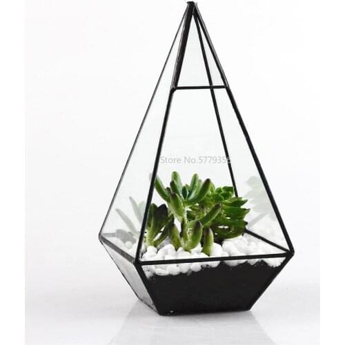 Pyramid Glass Geometric Terrarium Box Tabletop Succulent Planter Gift Black