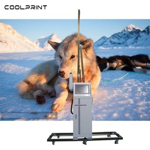 Direct To Wall Painting Machine 3D Vertical Wall Printer UV Wall Printing Machine