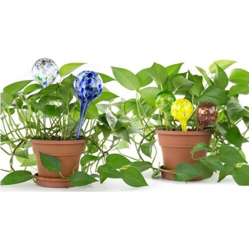 Plant Watering Globes Automatic Watering Globe Mini Decorative Hand-Blown Glass Small Plant Watering Tool BS