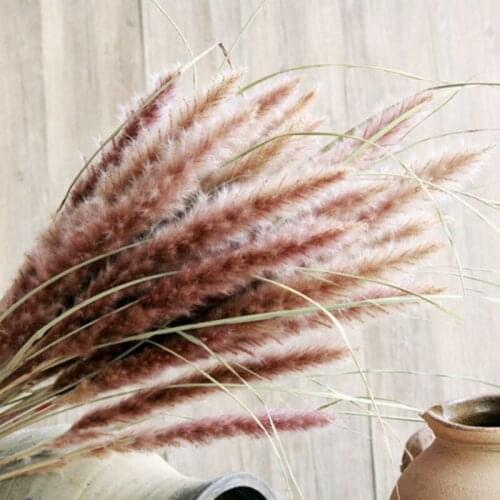 15Pcs/Lot Natural Immortal Pampas Grass Artificially And Real Plants Dried Flowers Home Ddecoration Party Office Decoration
