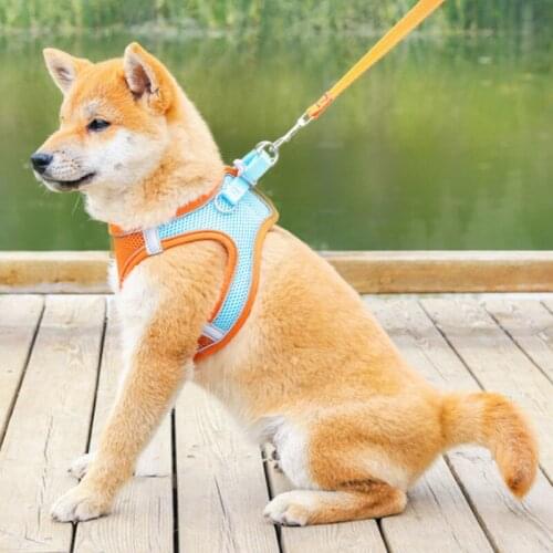 Orange Pet Leash Cat Vest Red Dog Chest Harness Adjustable Nylon Breathable Reflective Outdoor Walking Dog Chest Strap Kitten