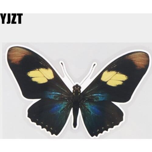 YJZT 16.5×11CM Dark Blue Butterfly Scratch Cover Animal Car Sticker Decoration Accessories 21A-0553