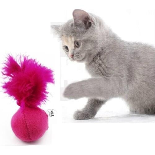 Pet Products Funny Pet Cat Toys Tumbler Cute Grass Add Catnip Kitten Playing Toys