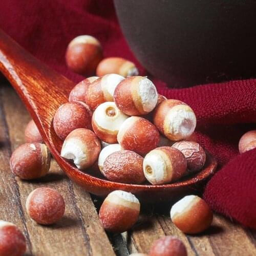 Gorgon Fruit Chinese Herb Semen Euryale