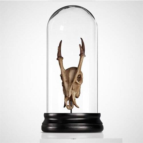 Retro dinosaurus skull decoration studio bar decoration living room became the glass crafts moose skull resin