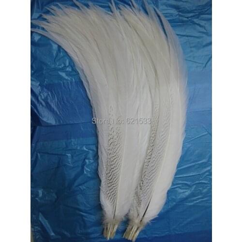 50Pcs/lot! 26-28" 75-80CM LONG Super Long Natural Silver Pheasant Tail Feathers,Silver Pheasant Tails