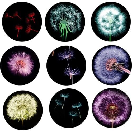 FLTMRH 8mm 10mm 12mm 20mm 25mm Dandelion Round Glass Cabochon Flatback Photo Base Tray Blank DIY Making Accessories