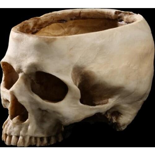 Human skull model filming props and sets skull model Home Decoration Skull resin pots Halloween use free shipping