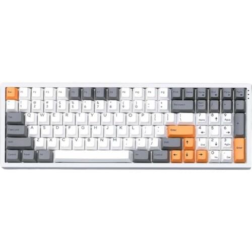 96% Bluetooth RGB Keyboards 99 Keys Mechanical Gaming Keyboard Hot-Swappable (TTC Golden Pink Switch/ Cherry Blue Switch)