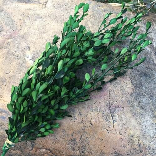 80g/35cm,Natural Fresh Preserved Buxus Sinica,Decorative Immortal Flower for Wedding Home Decoration accessories,arrange flower