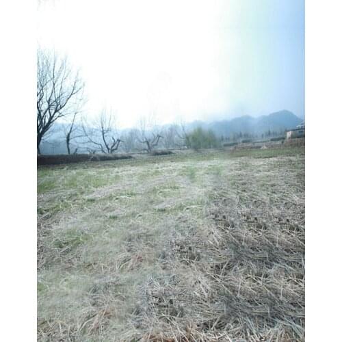 Lawn Tree Photography Backdrops Photo Props Studio Background 5x7ft