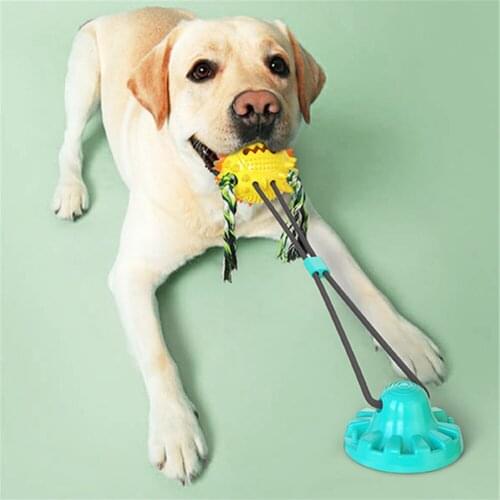 Interactive Pet Suction Cup Toy with Bouncy Ball Bite Resistant Dog Chew Toy Leakage Food Ball Puppy Molar Stick Pets Toothbrush