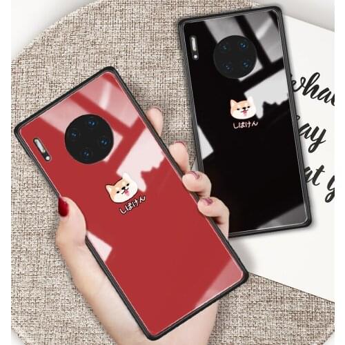 For Huawei Mate 30 / 30 Pro glass case Explosion-proof man tempered cover For huawei mate 30 shockproof Glass case shell