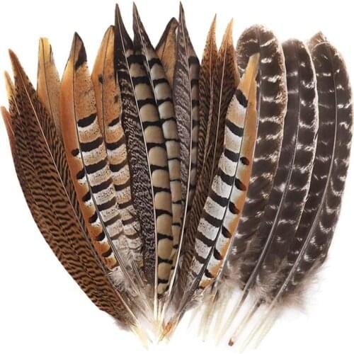 10pcs Natural pheasant feather for craft diy Turkey feathers for jewelry making Wedding needlework Home decoration Plumes 3-40CM