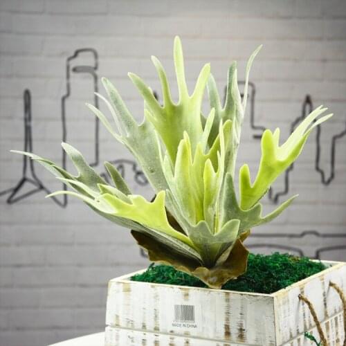 NuoNuoWell 2xArtificial Plants Tufting Antlers Lifelike Flowers 13 Inch Artificial Succulent Plant Micro Landscape Home Decor