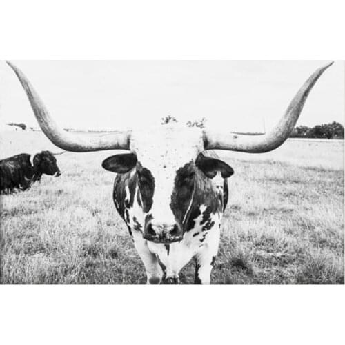 More style Animal Cow Art Film Print Silk Poster Home Wall Decor 24x36inch