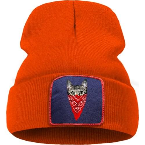 Harajuku Animal Cat Bonnet Cap Sports Unisex Hip Hop Knitted Hats Outdoor Casual Beanie Hat Fashion Solid Color Skullies Caps