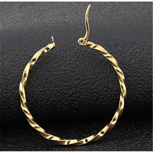 Titanium Steel Twisted Large Earrings 316L Stainless Steel Earrings Exquisite Large Earrings Gold Silver Black Rose Gold Color