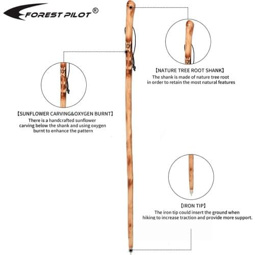 FOREST PILOT Wooden Walking Cane For Men and Women Handcrafted of Hardwood, Nature Color, 120CM