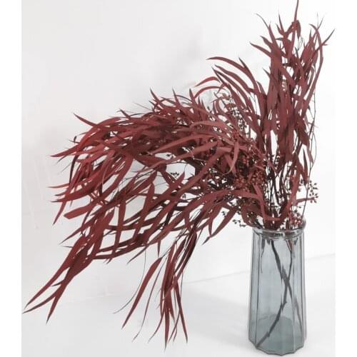 Natural Real Touch Dried Flowers Samll Eucalyptus Leaves Wedding Holiday Family Party Home Decoration Arrangement Fleurs Sechees