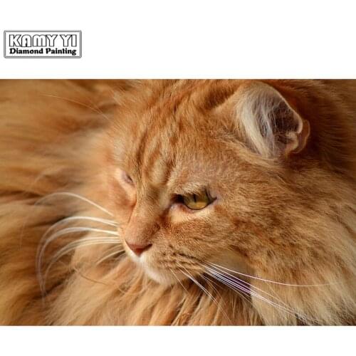 Full Drill Square/Round Diamond 5D DIY Diamond Painting Embroidery Cross Stitch "Cool Cat" Rhinestone Mosaic Painting Decor