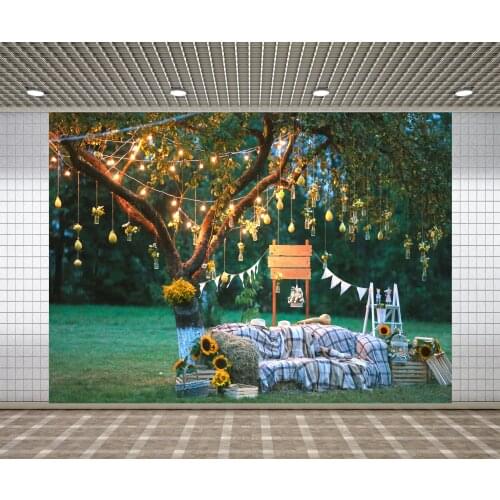 Lyavshi Light bulb Tree Sunflower Haystack Outdoor wedding Scenery photo Background For Photo Studio photography backdrops