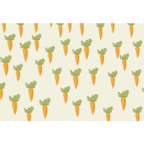 Cartoon Carrot Baby Shower Backdrop Party Room Decor Photo Booth Studio Prop