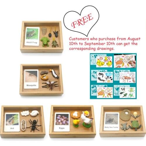 Bamboo Tray Montessori Language Materials Animal Growing Up Match Cards - Animals Montessori Learning Toy for Toddlers E2566F