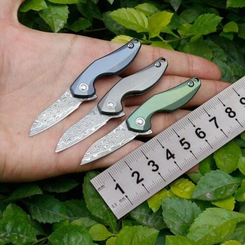 Gift Mini outdoor folding key chain decor Damascus folding knife titanium handle pocket knife multi-function kitchen accessories