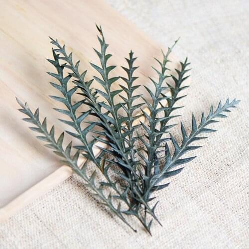 15pcs/10-15cm,Natural Dried Phoenix Leaves,Eternal Display Flower materials for wedding Xmas Ramadan home decoration accessories