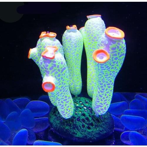 Luminous Simulation Decorations Wholesale Silicone Fluorescent Sea Squirt Aquarium Landscaping Ornaments