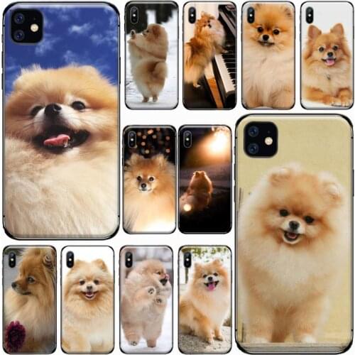 Pomeranian dogs dog Phone Case for iPhone 11 12 pro XS MAX 8 7 6 6S Plus X 5S SE 2020 XR mini