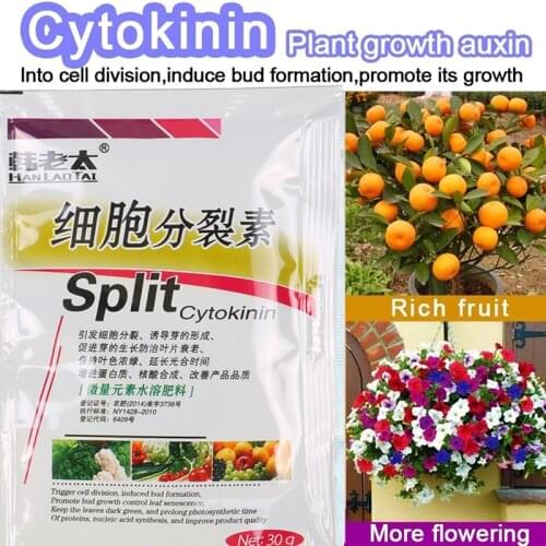 Cytokinin Plant Hormones Improve Vegetable Flower Fruit Tree Better Product And Grow Delaying leaf senescence For Garden Bonsai