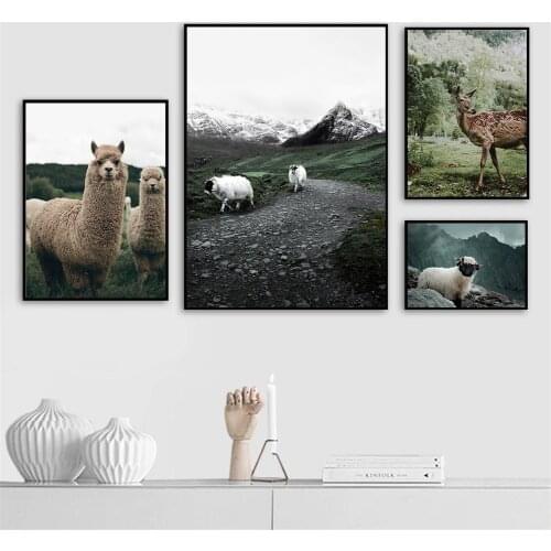 Alpaca Llama Sheep Deer Animal Poster Snow Mountain Landscape Wall Art Print Painting Nordic Posters Wall Pictures Home Decor