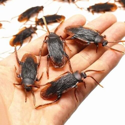 10pcs Simulation Cockroach Fake Rubber Cockroach Special Lifelike Model Bug Toy Holiday DIY Decorations Simulation Cockroach