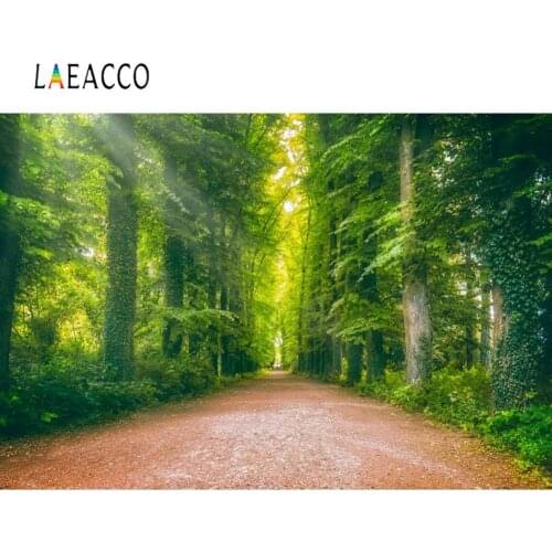 Vinyl Backgrounds For Photography Old Tree Green Grass Park Way Natural Scenic Photographic Backdrop Photocall Photo Studio