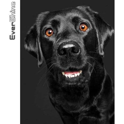 Evershine 5D DIY Diamond Embroidery Dog Mosaic Crafts Kit Diamond Painting Animals Rhinestone Picture New Arrival Handicrafts