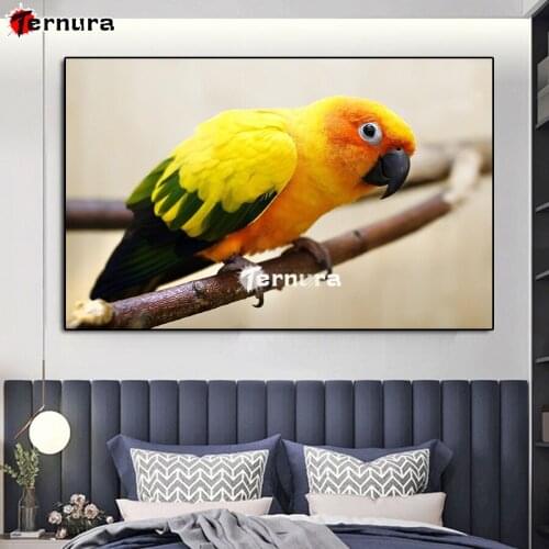Rhinestone pictures diy diamond embroidery parrots diamond painting full square round drill Animal bird diamond mosaic art decor