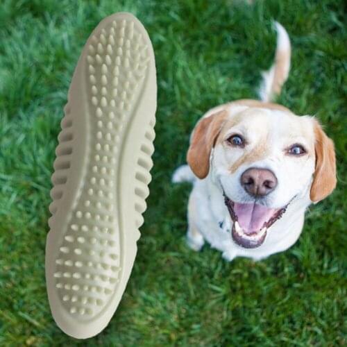 Dog Molar Stick Rubber Chew Tpr Anti-Biting Teeth Anti-Leakage Clean and Elastic Good Pet Chew Play Toothbrush Supplies