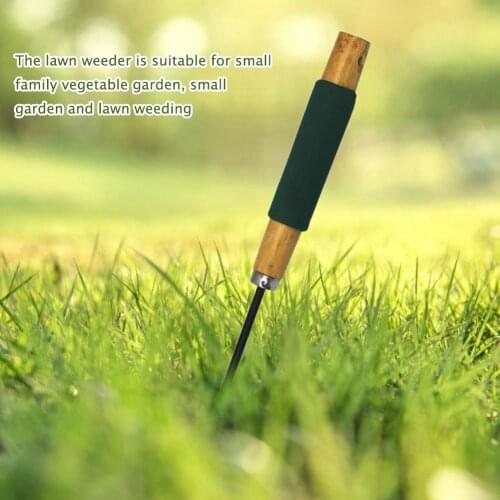 Daisy Grubber Garden Lawn Weeder Stainless Steel Mini Garden Weeding Tool for Outdoor Lawn Yard