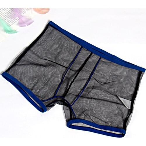 Men Boxer Mesh Hot Underwear Mens Shorts Boxers Sexy Transparent Solid Low Waist Panties Male Brand Man Underpants GAY