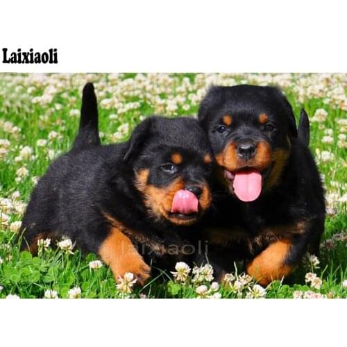 5D DIY Diamond Painting Cross Stitch Diamond Embroidery Rottweiler Dog diamond Mosaic Rhinestones Needlework Home Decor painting