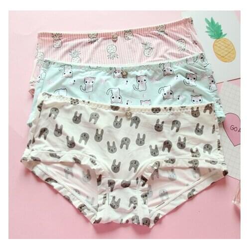 Japanese ice silk quick drying cute cat rabbit milk silk traceless sexy underwear girl chubby Low-waist Underwear Student GZ-K6