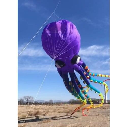 Weather vane inflatable kite Koi carp street toys ripstop Large kite professional kite wind sock Mattress kite kite for adults