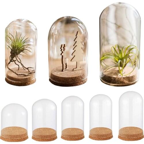 Glass Dome Cover For Flower Succulent Plants Landscape Vase Terrarium Container Vase With Cork Dustproof Case Box Display Stand