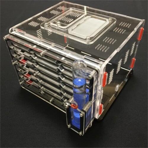 9 colors moisture with feeding area ant nest ,ant farm acryl, insect ant nests villa new pet advanced mania for house ants