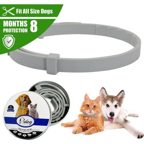Dropshipping New Pet Dog Collar Anti Flea Ticks Mosquitoes Outdoor Adjustable Collar Cat Dog Accessories 8 Months Protection