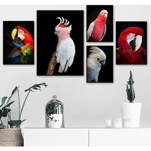 Colorful Parrot Starling Wall Paintings Animals Birds Modern Home Room Decor Canvas Picture Frameless Wall Art Poster